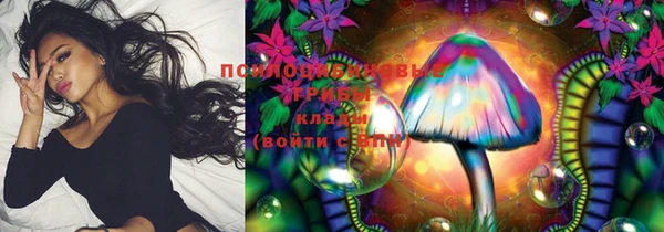 кокс Карпинск