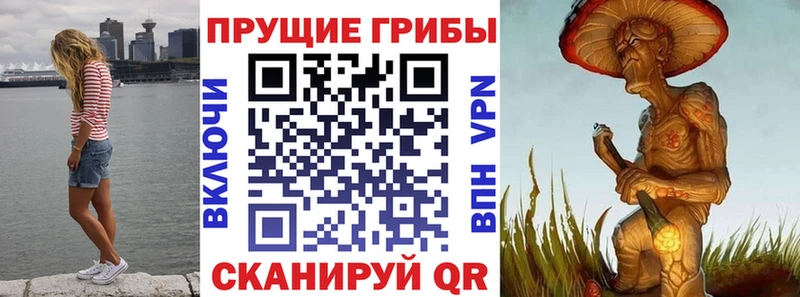 Галлюциногенные грибы Psilocybine cubensis Карабаново